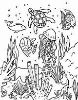 Coloring Ocean Pages Printable Animal Fish Summer Color Museprintables Colouring Animals Kids Sheets Adult Drawing Print Reef Coral Cute Size sketch template