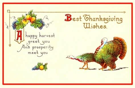 Funny Thanksgiving Images Poems Cards And Inspirational