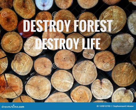 destroy forest destroy life stock photo image  concept world