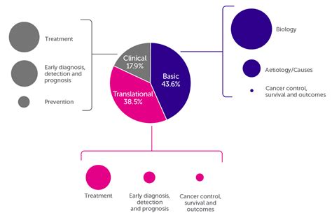 Facts And Figures About Our Research Funding Cancer Research Uk