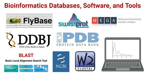bioinformatics databases software  tools