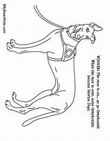 Coloring Pages Dog Great Dane German Shepherd Realistic Sketch Printable Popular Template Danes Puppy sketch template