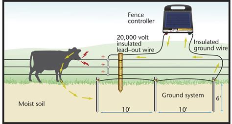 wire  electric fence diagram rjw fence charger electric fence  cattle