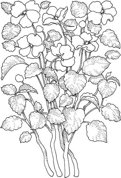 printable spring flowers coloring pages