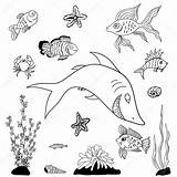 Kolorowanki Ryby Fishes Peces Vissen Rybki Akwarium Stockillustratie Druku Ilustracja Stockowa Grafika Lub Wektor sketch template