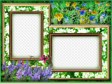 nature photo frames png
