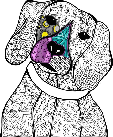 animal printable animal coloring pages  adults stephenson