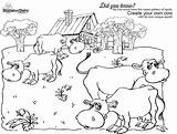 Coloring Cow Tail Pages Dairy Farm Template Farmer Milking sketch template