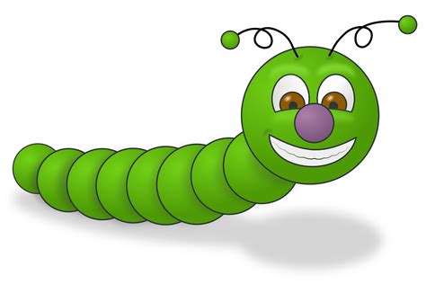 insect caterpillar  png clipart panda  clipart images