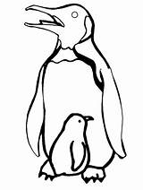 Penguin Coloring Penguins Printable Pages Template Outline Baby Kids Animals Color Drawing Print Animal Cartoon Sheets Chick Clipart Cliparts Templates sketch template
