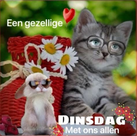 gezellige dinsdag good morning snoopy good morning quotes animals humor motivation animales