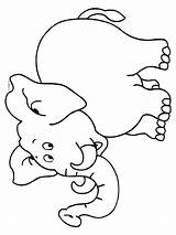 Olifant Kleurplaat Kleurplaten Dieren Olifanten Tekenen Nl Van Tekeningen Colouring Sheets Elephants Afkomstig Elmer Voor Kleuterschool Gif sketch template