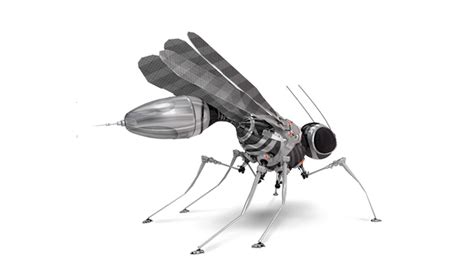 bird  insect  drones  planned  darpa