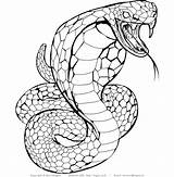 Snake Coloring Pages Cobra Drawing Anaconda Snakes Evil Print Viper King Adults Mosaic Sea Printable Realistic Result Sushi Adult Color sketch template