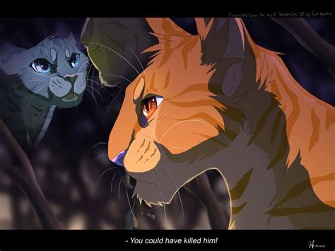 Lionblaze And Cinderheart Warrior Cats Warrior Cats