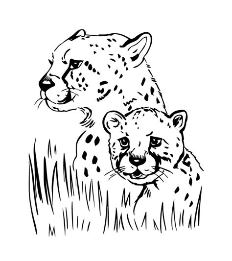 animal coloring pages momjunction