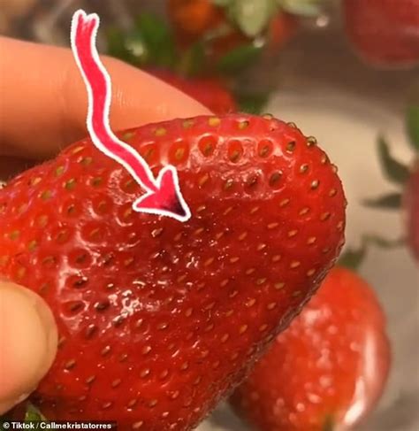 horrifying tiktok videos reveal bugs emerge from strawberries when they