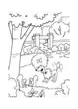 Coloring Clifford Pages Cleo Plays Garden sketch template