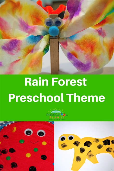 rain forest layers theme  preschool