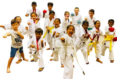 Karate Club Lessons Classes Courses Goodlands Azuri