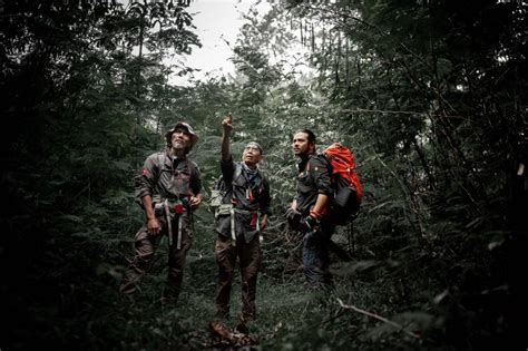 5 Tips Ampuh Untuk Selamat Saat Tersesat Di Hutan