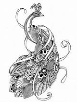 Coloring Peacock Pages Adult Adults Zentangle Book Tattoo Animal Mandala Drawing Sheets Choose Board sketch template