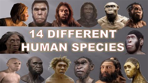 human species  existed    explained youtube