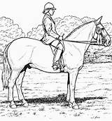 Horse Coloring Color Pages Sheet Printable Realistic Equestrian Kids Stall Derby Print Book Clipart Info Popular sketch template