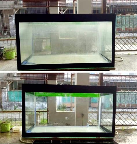 membersihkan kaca aquarium  berkerak  ampuh hobinatang