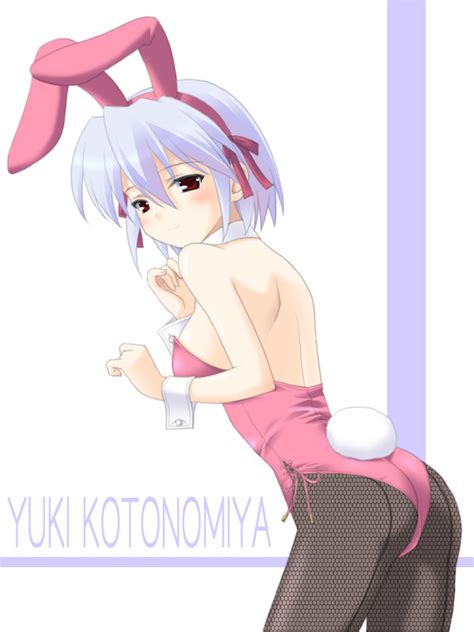 Rule 34 Bunny Ear Bunny Girl Bunnysuit Cosplay Kemonomimi Kotonomiya