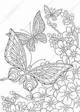 Printable Schmetterlinge Schmetterling Ausmalbilder sketch template