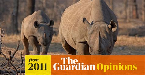 The Western Black Rhino Has Been Declared Extinct Does That Bother You