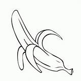 Bananas Coloringhome sketch template