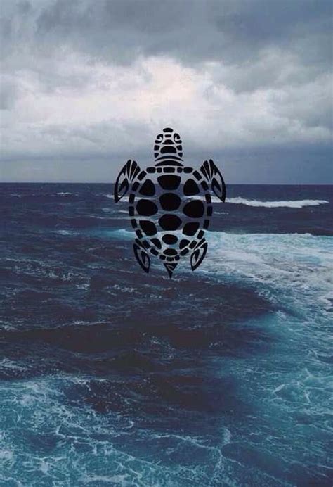 turtle wallpaper tumblr