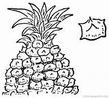 Coloring Pineapple Pages Printable Pineapples Library Clipart Online Popular sketch template