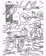 Vogels Kleurplaten Kleurplaat Waldtiere Ausmalbild Tiere Voorjaars Vogeltjes Downloaden Bezoeken Kleuren Uitprinten sketch template