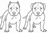 Pitbull Coloring Drawing Drawings Pages Bull Pit Dog Nose Red American Realistic Draw Puppy Cartoon Line Terrier Pitbulls Kids Printable sketch template