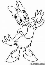 Coloring Daisy Duck Pages Popular sketch template