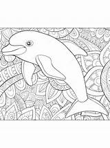 Kleurplaat Moeilijk Dolfijn Dolfijnen Dolphin Schwer Delphin Ausmalbilder Kleurplaten Delfine Ausmalbild Malvorlage sketch template