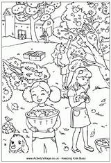 Coloring Picking Orchard Zbiory Activityvillage Kolorowanki Dzieci Jesienne Thanksgiving sketch template