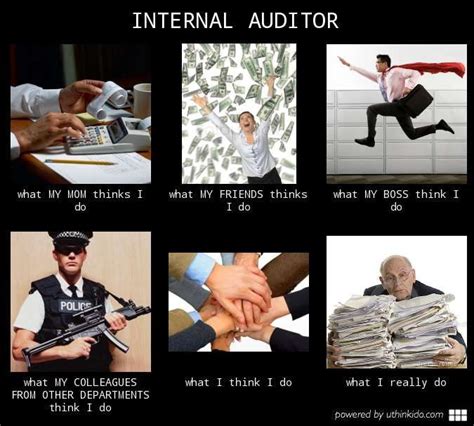 internal audit meme internal auditor meme  internal audit work