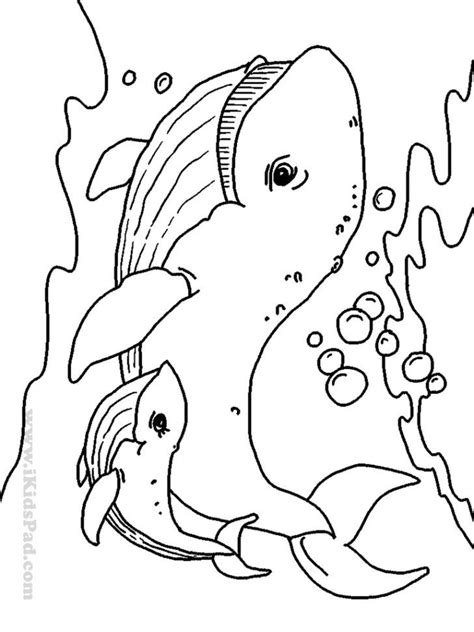 sea creatures coloring pages ba sea creatures coloring pages  cute