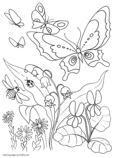 butterfly  bee coloring pages