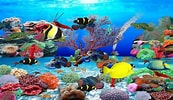 Image result for Vista Screensaver Fish Tank. Size: 173 x 100. Source: liftulsd.weebly.com