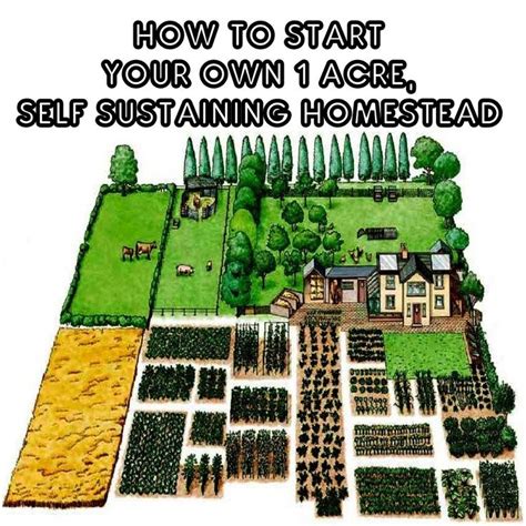 start    acre  sustaining homestead farm plans backyard farming farm layout