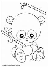 Osos Pintar Pandas Paracolorear sketch template
