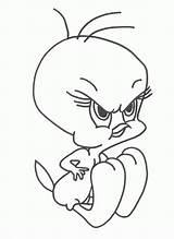 Tweety Bird Coloring Cute Pages sketch template