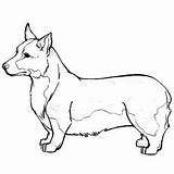 Coloring Pages Dog Cattle Australian Printable Getcolorings sketch template