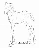 Horse Coloring Foal Pages Getcolorings sketch template