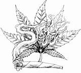 Drawings Weed Coloring Pages Tattoo Leaf Stoner Marijuana Pot Smoke Drawing Cannabis Step Smoking Adult Plant Bud Draw Easy Trippy sketch template